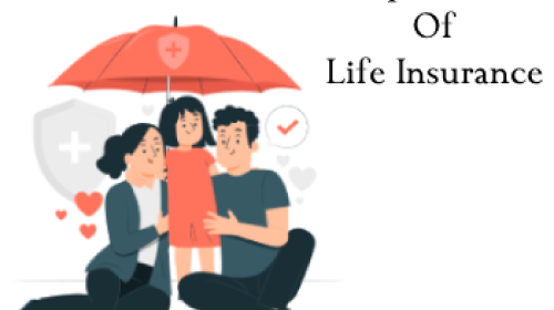 Importance Of Life Insurance